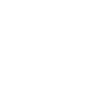 tarabapeaceandhumanitariandevelopmentinitiative logo